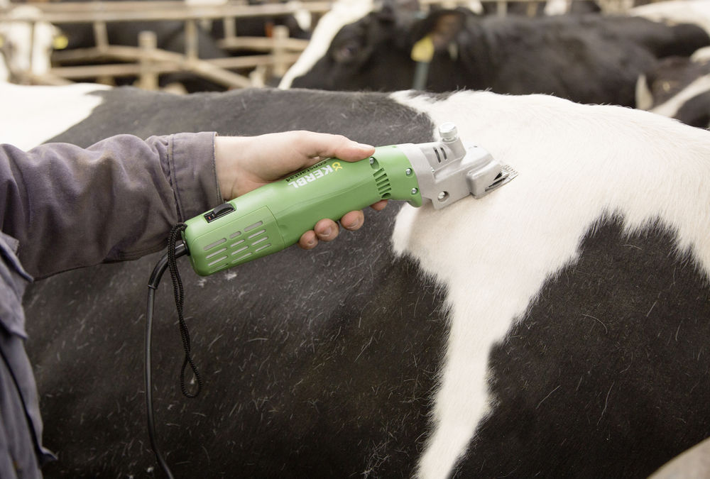 MÁQUINA DE TOSQUIAR VACAS CONSTANTA 4 1